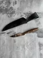 1529