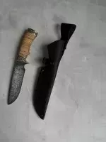 16884
