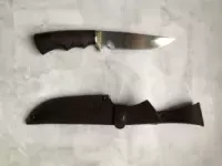 581