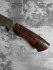 1695.jpg_product
