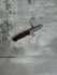 13612.jpg_product
